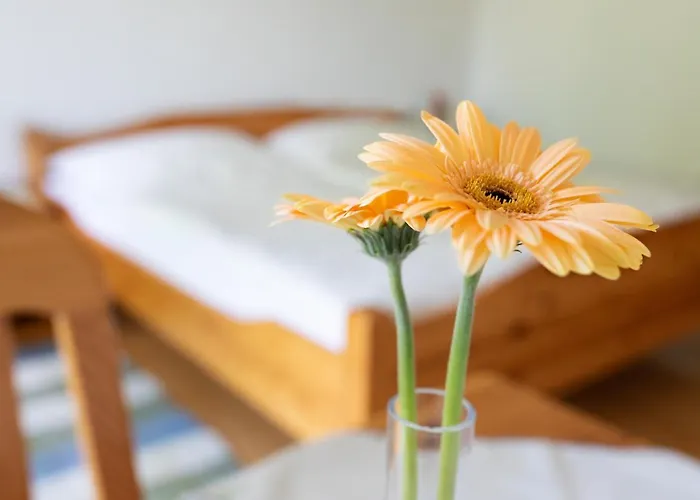 Fruehstueckspension Rottensteiner Inn *